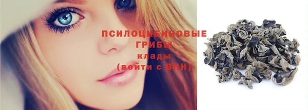 стаф Баксан