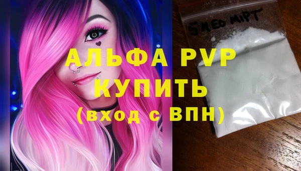 стаф Баксан