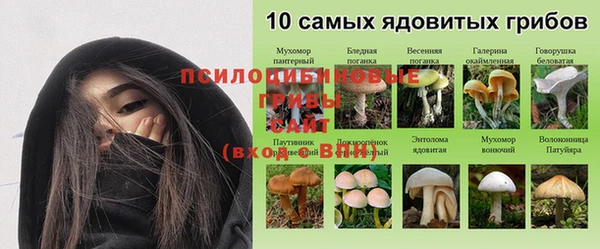 стаф Баксан