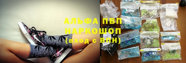стаф Баксан